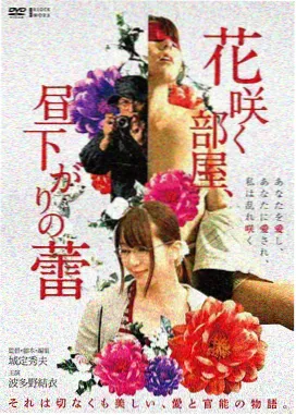 白鸟与钟经典电影高清海报